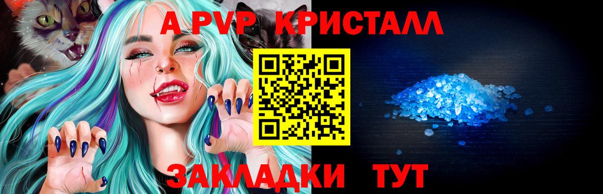 APVP VHQ  Вход с VPN  Alfa_PVP СК КРИС  Сальск 